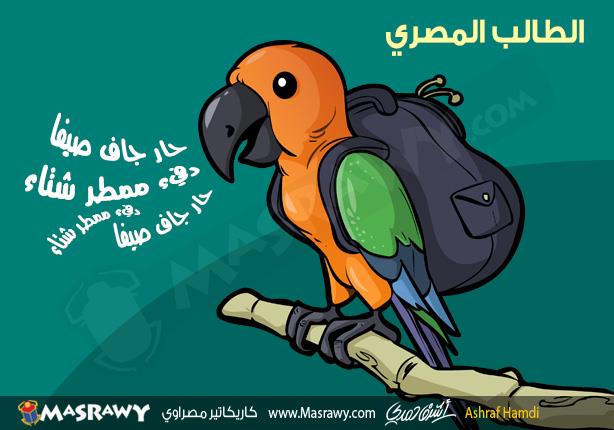 الطالب المصري الطالب المصري
