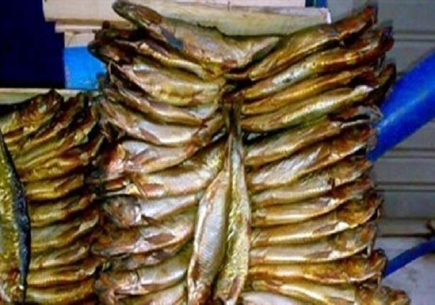 ضبط 7 طن رنجة مجهولة المصدر بالشرقية ضبط 7 طن رنجة مجهولة المصدر بالشرقية