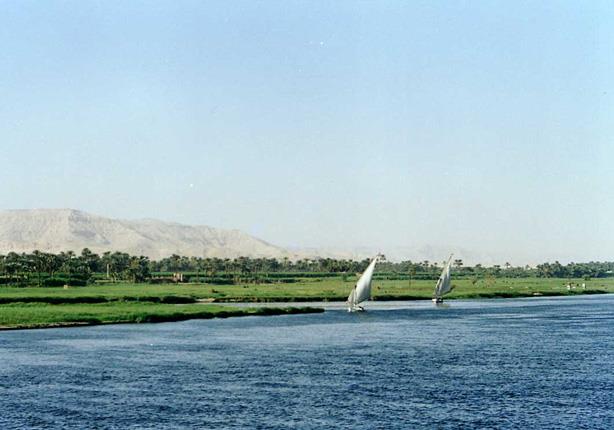 مدير مركز السموم الأسبق يفجر مفاجأة: فوسفات المركب الغارق سيظهر على الأسماك مدير مركز السموم الأسبق يفجر مفاجأة: فوسفات المركب الغارق سيظهر على الأسماك