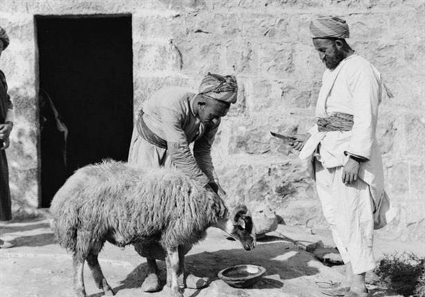 ًعلي جمعة: الأضحية سنة وعبادة لله وليست لهواً ًعلي جمعة: الأضحية سنة وعبادة لله وليست لهواً