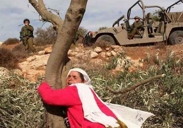 بمناسبة يوم المرأة: استمرار الانتهاكات الاسرائيلية لحقوق نساء فلسطين بمناسبة يوم المرأة: استمرار الانتهاكات الاسرائيلية لحقوق نساء فلسطين