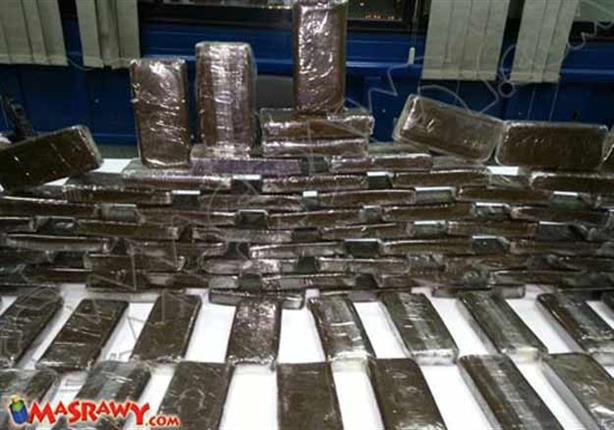 خلال 24 ساعة.. ضبط 46 طربة حشيش قبل ترويجها بـ 6 محافظات خلال 24 ساعة.. ضبط 46 طربة حشيش قبل ترويجها بـ 6 محافظات