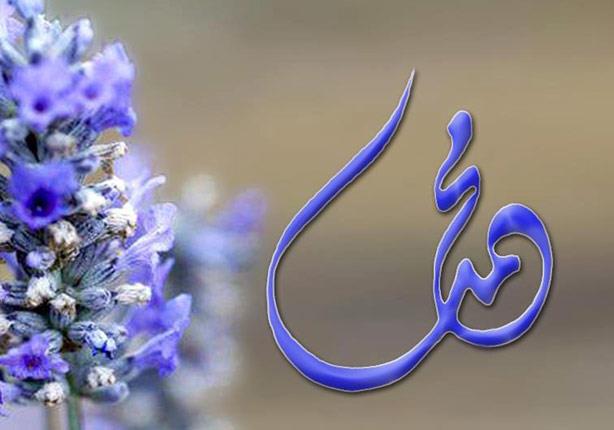 الشیعة ولادة رسول الله ص