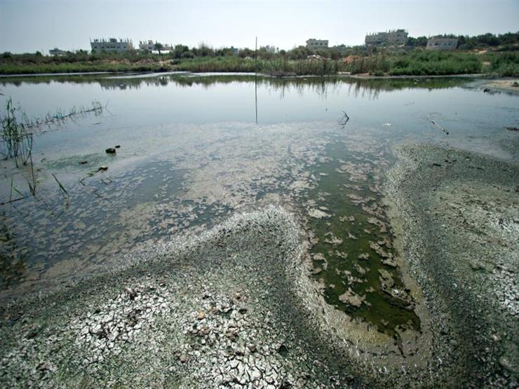 طلب إحاطة بشأن تلوت مياه النيل بسبب مخلفات المصانع طلب إحاطة بشأن تلوت مياه النيل بسبب مخلفات المصانع