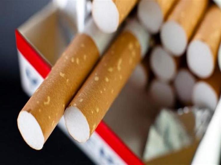 بعد تحريك الوقود.. الحكومة تحسم الجدل بشأن زيادة أسعار السجائر بعد تحريك الوقود.. الحكومة تحسم الجدل بشأن زيادة أسعار السجائر