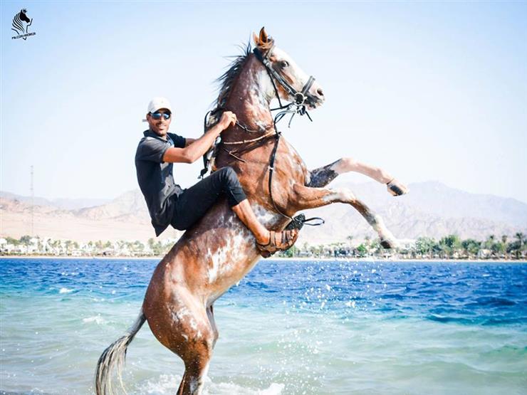 بالصور لمحبي ركوب الخيل نصائح عامة للحصول على تجربة ممتع مصراوى