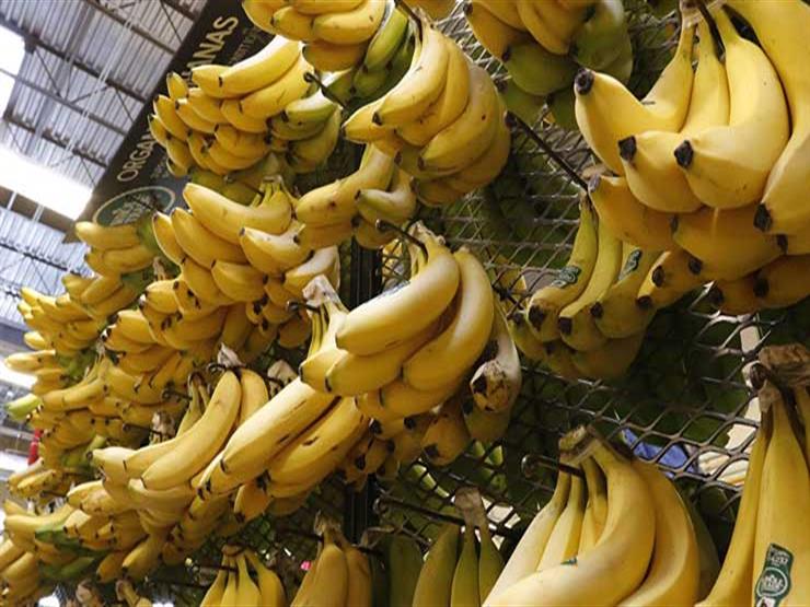 اليابان تنتج موزًا يمكن أكل قشرته اليابان تنتج موزًا يمكن أكل قشرته
