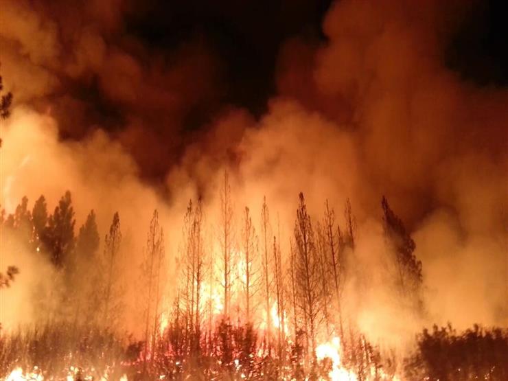 استمرار اشتعال حرائق الغابات في كاليفورنيا وترامب يقر مساع مصراوى
