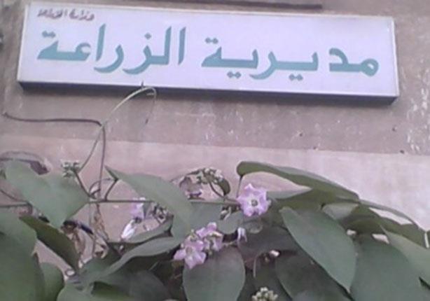 إزالة 295 حالة تعدٍ على 9 أفدنة زراعية بالمنيا إزالة 295 حالة تعدٍ على 9 أفدنة زراعية بالمنيا