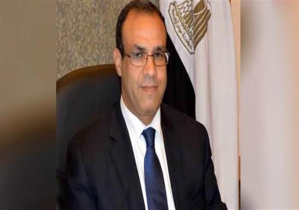 سفير مصر ببرلين: انتهاء الاستعدادات لإجراء استفتاء التعديلات الدستورية سفير مصر ببرلين: انتهاء الاستعدادات لإجراء استفتاء التعديلات الدستورية