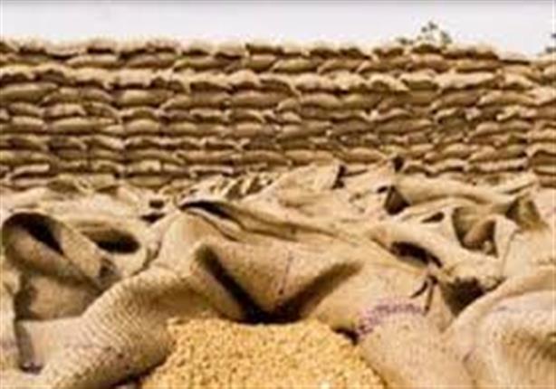 توريد 2600 طن قمح بصوامع وشون بني سويف توريد 2600 طن قمح بصوامع وشون بني سويف