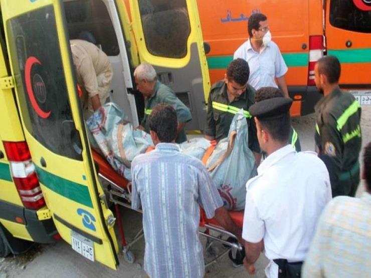 الصحة: نقل مصابي حادث "أتوبيس المنيا" إلى معهد ناصر الصحة: نقل مصابي حادث "أتوبيس المنيا" إلى معهد ناصر