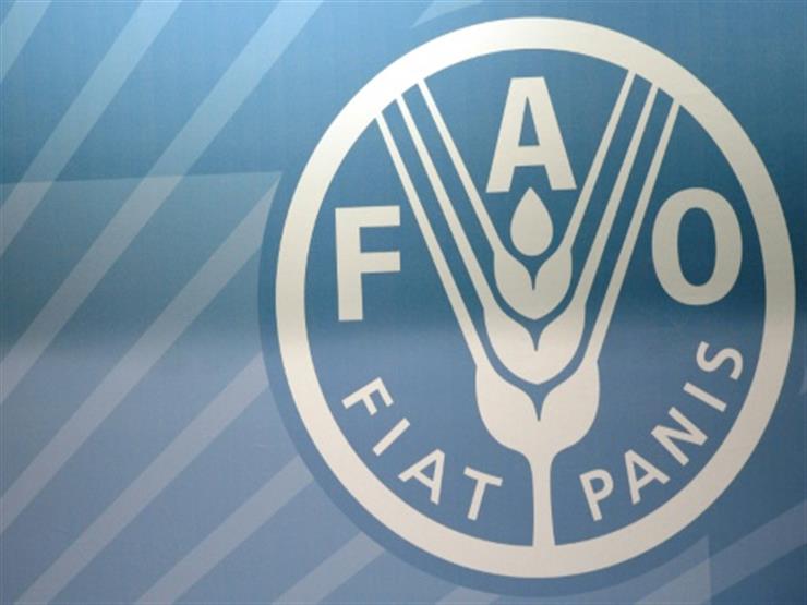 الأمم المتحدة للغذاء: البحث عن مواد غير تقليدية للمياه والتنمية المستدامة الأمم المتحدة للغذاء: البحث عن مواد غير تقليدية للمياه والتنمية المستدامة