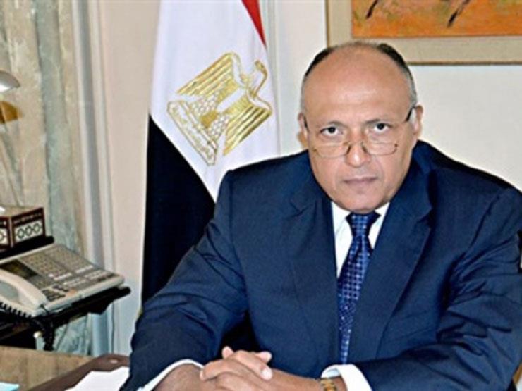 شكري ولودريان يبحثان بباريس الملف الليبي والأزمة مع قطر شكري ولودريان يبحثان بباريس الملف الليبي والأزمة مع قطر