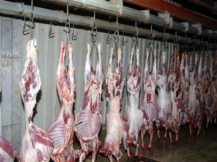 خلال العيد.. "بيطري أسوان" تفتح المجازر بالمجان خلال العيد.. "بيطري أسوان" تفتح المجازر بالمجان