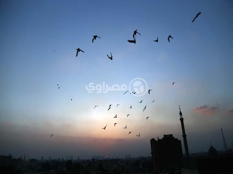 أنا طير في السما صور مصراوى