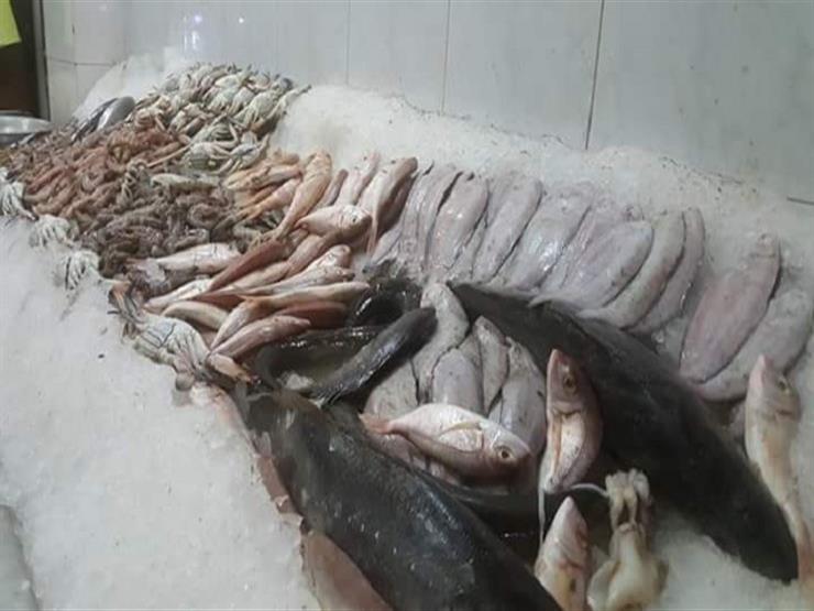 البطارخ بـ 650 والبوري بـ 50 جنيها أسعار الأسماك بأسواق دم مصراوى