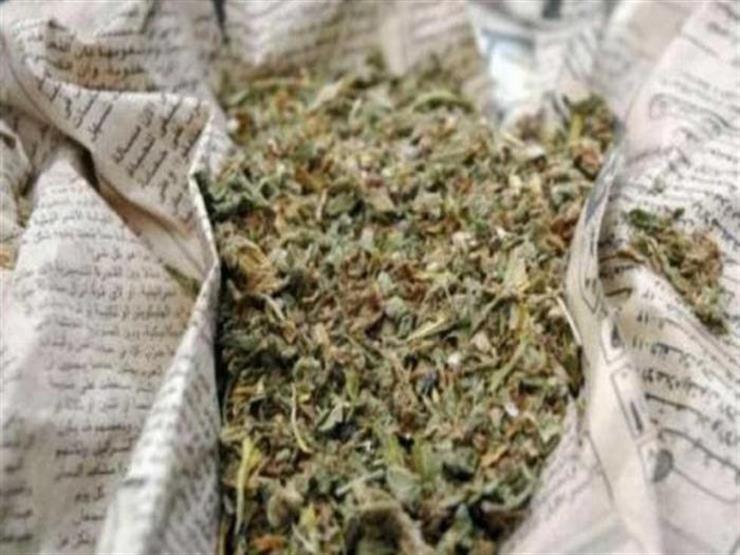 ضبط عاطل بحوزته 3 كيلوا بانجو وسلاح ناري في الشرقية ضبط عاطل بحوزته 3 كيلوا بانجو وسلاح ناري في الشرقية