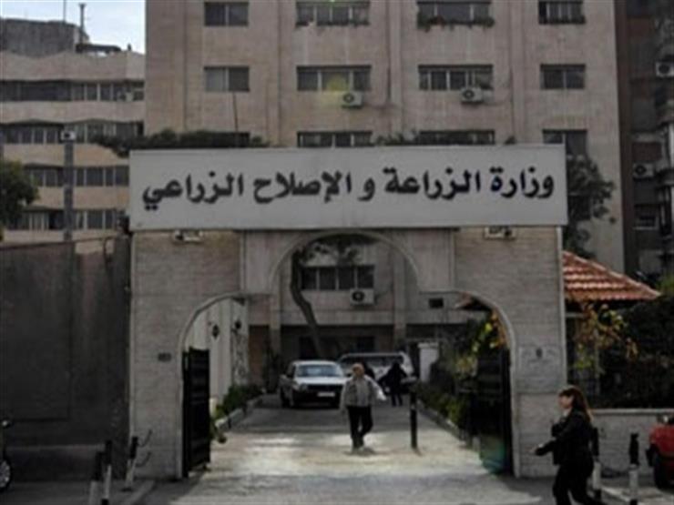"الزراعة" تنظم حملات مكثفة على شوادر وأماكن بيع الأضاحي "الزراعة" تنظم حملات مكثفة على شوادر وأماكن بيع الأضاحي