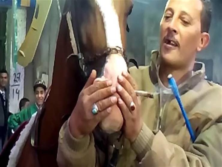 بالفيديو : هذا ما حدث للحصان بعد إجبارة على شرب الحشيش في فرح شعبي