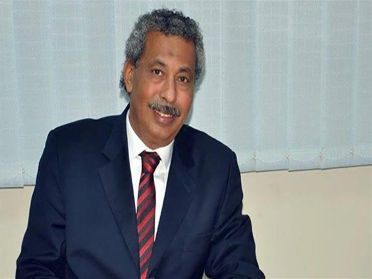برلماني عن ترشح السيسي منفردًا: الأحزاب عجزت عن تقديم كوادر برلماني عن ترشح السيسي منفردًا: الأحزاب عجزت عن تقديم كوادر
