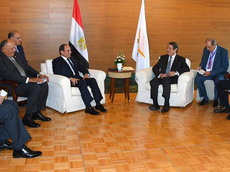 الرئيس السيسى يشيد بالتطور المستمر في العلاقات المصرية القبرصية الرئيس السيسى يشيد بالتطور المستمر في العلاقات المصرية القبرصية