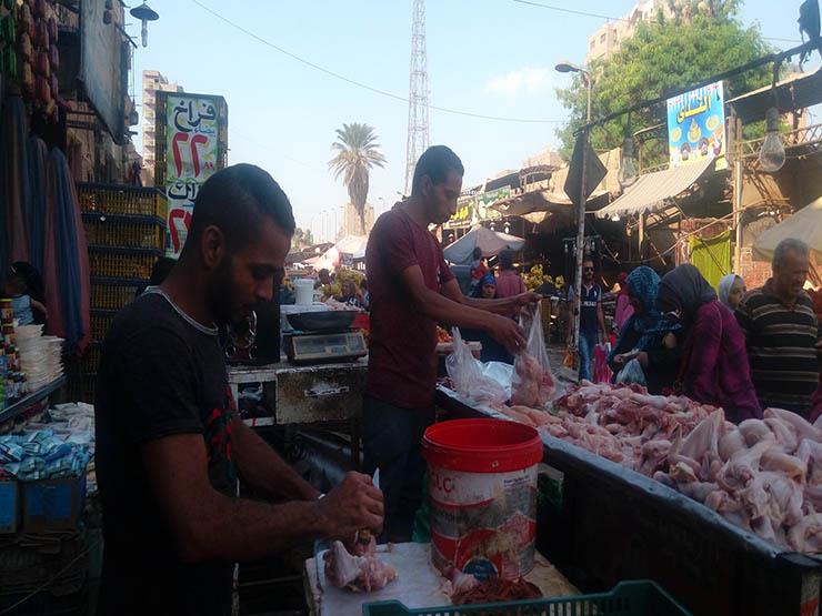 "بيعنا في الشقق".. بائعون يتذكرون قانون "منع الدجاج الحي" قبل 9 سنوات "بيعنا في الشقق".. بائعون يتذكرون قانون "منع الدجاج الحي" قبل 9 سنوات