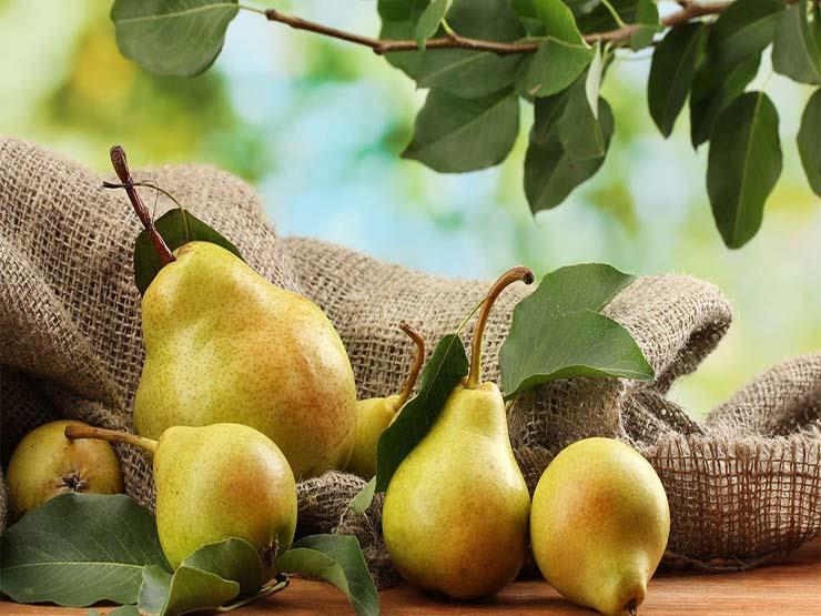 دراسة ألمانية: "الكمثرى" مفتاح الرشاقة دراسة ألمانية: "الكمثرى" مفتاح الرشاقة