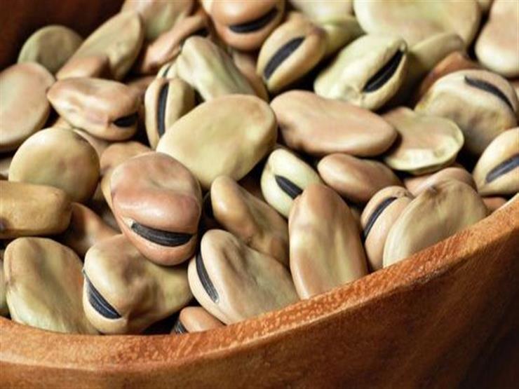 أسعار الفول ترتفع.. والكيلو يقفز إلى 20 جنيهًا أسعار الفول ترتفع.. والكيلو يقفز إلى 20 جنيهًا