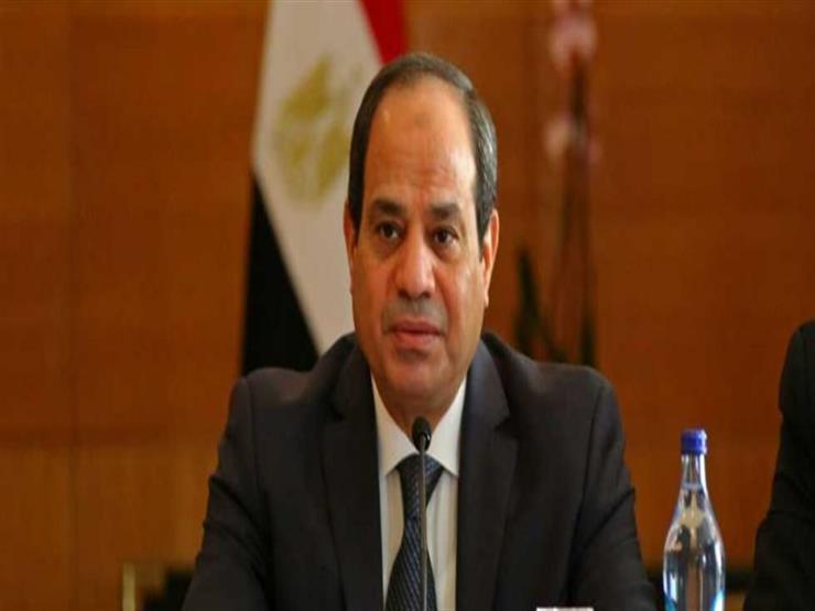 السيسي يجري مباحثات مع رئيس وزراء بلغاريا السيسي يجري مباحثات مع رئيس وزراء بلغاريا
