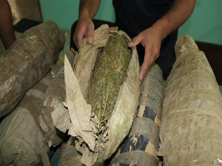 ضبط شخصين حاولا تهريب 200 كيلو بانجو عبر قناة السويس ضبط شخصين حاولا تهريب 200 كيلو بانجو عبر قناة السويس