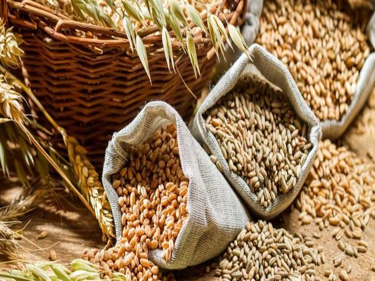 5 أسباب تجعلك حريصًا على تناول الحبوب الغذائية 5 أسباب تجعلك حريصًا على تناول الحبوب الغذائية