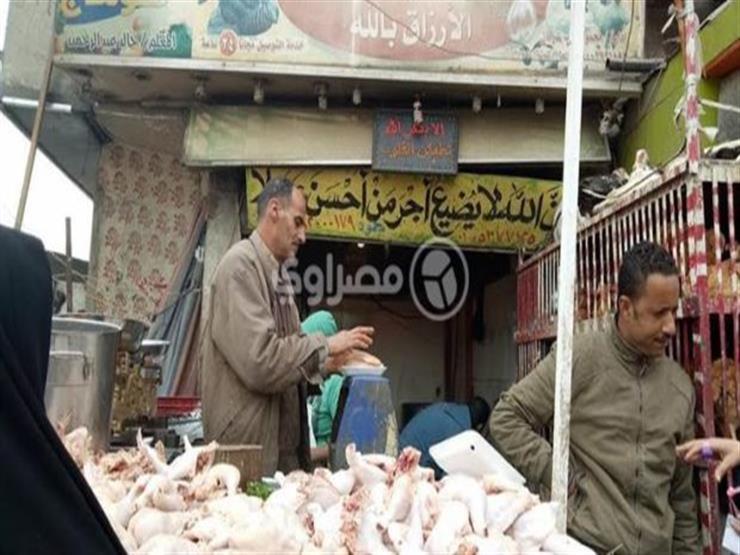 الحكومة تبدأ تفعيل قانون منع بيع الدواجن الحية بتكليفات رئاسية الحكومة تبدأ تفعيل قانون منع بيع الدواجن الحية بتكليفات رئاسية