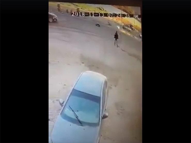 فيديو| حاول الهرب من الكلاب فدهسته سيارة في المعادي فيديو| حاول الهرب من الكلاب فدهسته سيارة في المعادي