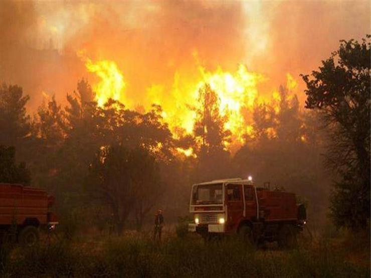 ارتفاع حصيلة ضحايا حرائق الغابات في كاليفورنيا إلى 56 قتيلا مصراوى
