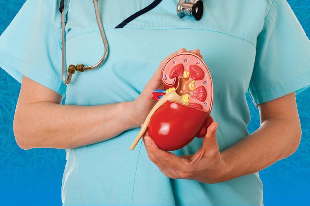 هؤلاء معرضون لتليف الكلى أكثر من غيرهم.. إليك سبل الوقاية هؤلاء معرضون لتليف الكلى أكثر من غيرهم.. إليك سبل الوقاية