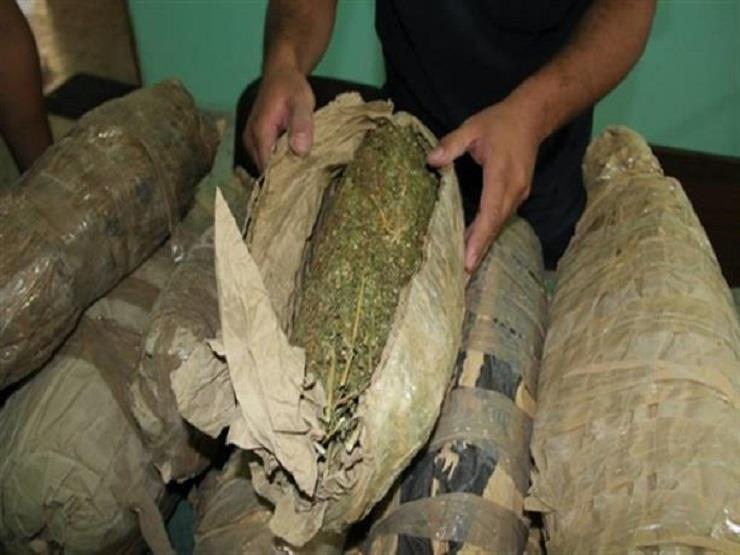 القبض على عاطل بحيازته 17 لفافة "بانجو" في الشرقية القبض على عاطل بحيازته 17 لفافة "بانجو" في الشرقية