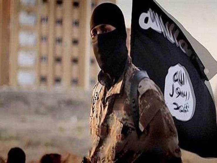 التحالف الدولي: الحرب ضد "داعش" لم تنته وتهديد التنظيم مازال قائما التحالف الدولي: الحرب ضد "داعش" لم تنته وتهديد التنظيم مازال قائما