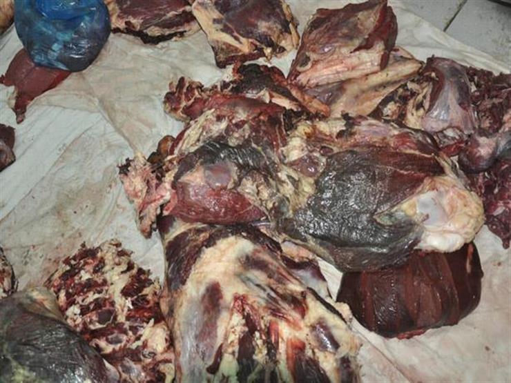 مصادر بـ"الزراعة": ضبط لحوم حمير في مطاعم شهيرة بالقاهرة والجيزة مصادر بـ"الزراعة": ضبط لحوم حمير في مطاعم شهيرة بالقاهرة والجيزة