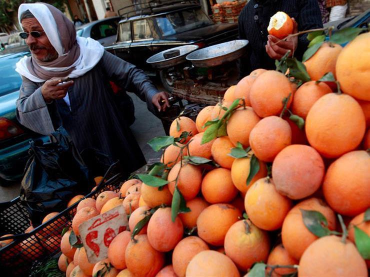 تقرير أمريكي يتوقع ارتفاع صادرات مصر من البرتقال خلال الموسم الجاري تقرير أمريكي يتوقع ارتفاع صادرات مصر من البرتقال خلال الموسم الجاري