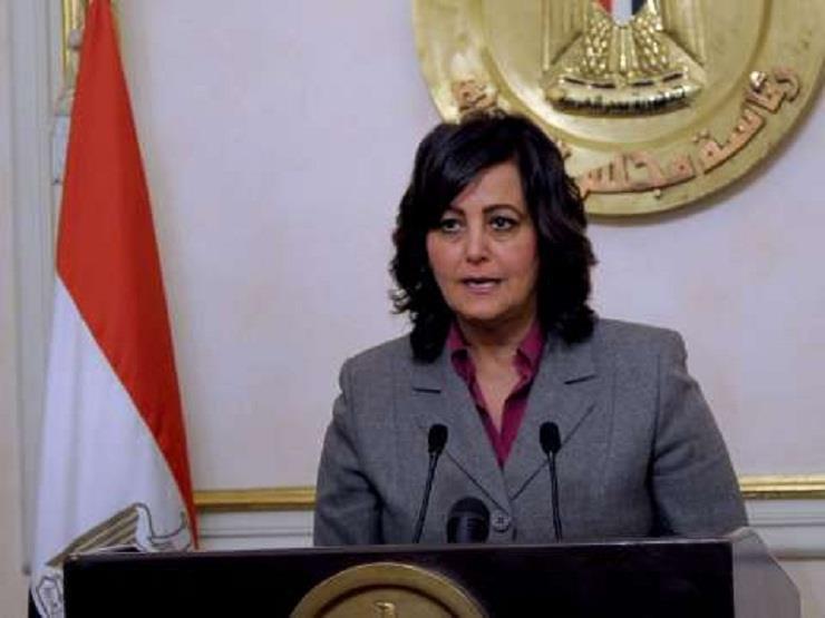الكويت توافق على استيراد الخيول المصرية الكويت توافق على استيراد الخيول المصرية