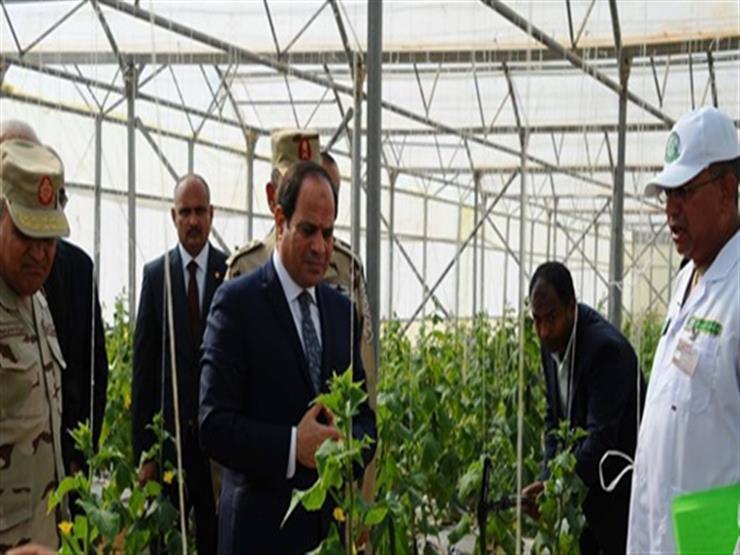 شركة "تكنو أجريكو" الإسبانية: مصر ستكون لاعبًا أساسيًا في مجال الإنتاج الزراعي شركة "تكنو أجريكو" الإسبانية: مصر ستكون لاعبًا أساسيًا في مجال الإنتاج الزراعي