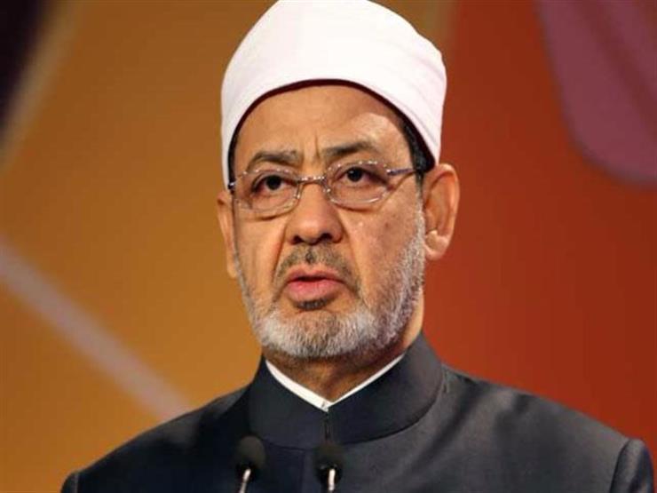 شيخ الأزهر: المرأة المسلمة في الشرق لا تتمتع بحقوقها شيخ الأزهر: المرأة المسلمة في الشرق لا تتمتع بحقوقها