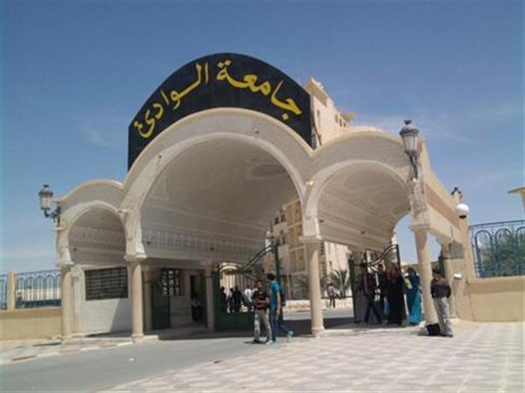 الأعلى للجامعات يوافق على إنشاء جامعة الأقصر الحكومية الأعلى للجامعات يوافق على إنشاء جامعة الأقصر الحكومية