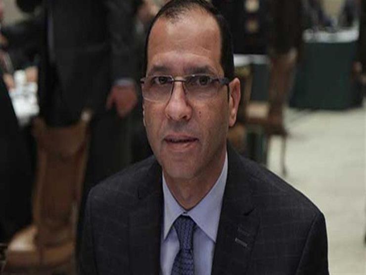 برلماني: مشاركة المصريين في الاستفتاء انتصار حقيقي لمسيرة التنمية برلماني: مشاركة المصريين في الاستفتاء انتصار حقيقي لمسيرة التنمية