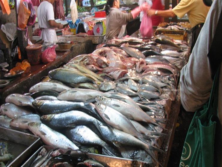 انخفاض البوري والبلطي وارتفاع الجمبري.. أسعار السمك اليوم انخفاض البوري والبلطي وارتفاع الجمبري.. أسعار السمك اليوم