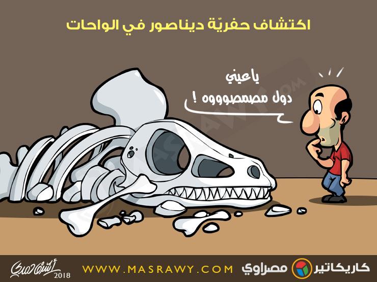 اكتشاف حفرية ديناصور في الواحات اكتشاف حفرية ديناصور في الواحات