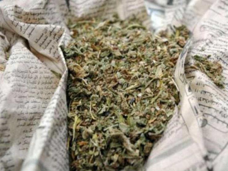 القبض على عاطل بحيازته 2 كيلو بانجو في أسوان القبض على عاطل بحيازته 2 كيلو بانجو في أسوان