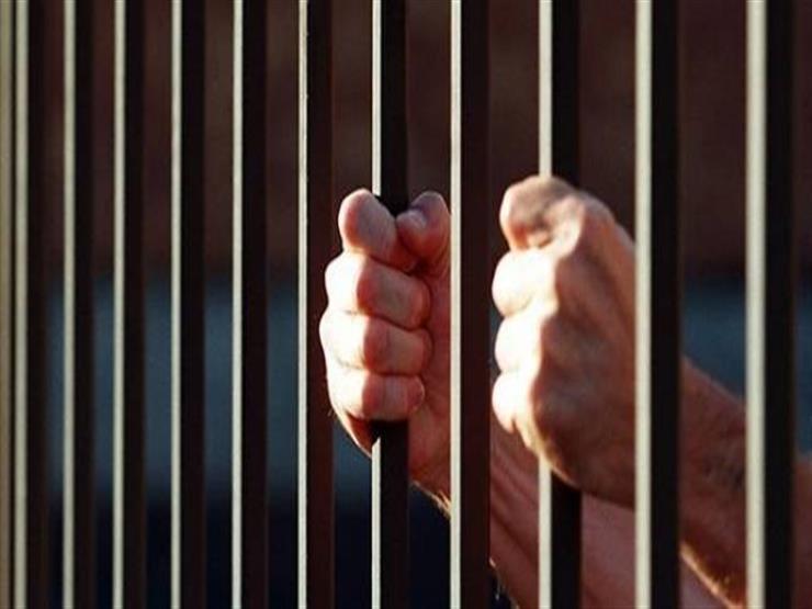 حبس سائق حاول استخراج رخصة قيادة بمؤهل مزور في القليوبية حبس سائق حاول استخراج رخصة قيادة بمؤهل مزور في القليوبية