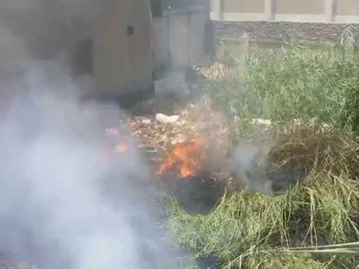 الحماية المدنية تسيطر على حريق الـ "هيش" جوار سجن طرة دون خسائر بشرية الحماية المدنية تسيطر على حريق الـ "هيش" جوار سجن طرة دون خسائر بشرية
